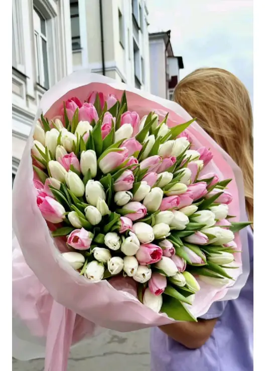 Bouquet of 101 tender tulips (imported, Netherlands)