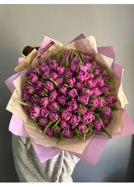 Bouquet of 101 lilac tulips (imported, Netherlands)