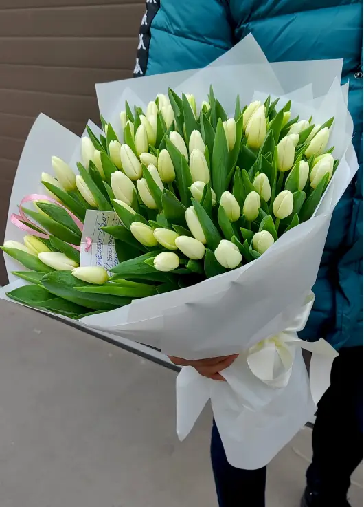 Bouquet of 101 white tulips (imported, Netherlands)
