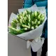 Bouquet of 101 white tulips (imported, Netherlands)