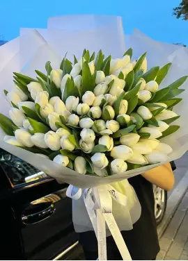 Bouquet of 101 white tulips (imported, Netherlands)