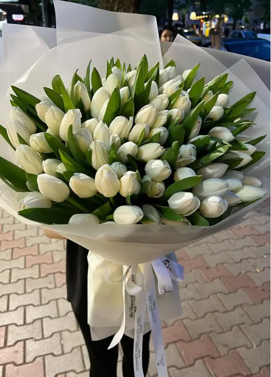 Bouquet of 101 white tulips (imported, Netherlands)