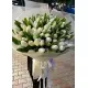 Bouquet of 101 white tulips (imported, Netherlands)
