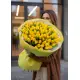 Bouquet of 101 yellow tulips (imported, Netherlands)