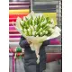 Bouquet of 101 white tulips (imported, Netherlands)