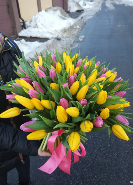 Rainbow spring 101 tulips