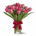 Raspberry tulips