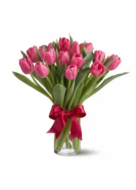 Bouquet of 15 raspberry tulips (imported, Netherlands)