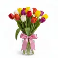 Mixed tulips