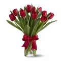 Red tulips