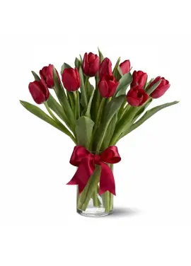 Bouquet of 15 red tulips (import, Holland)