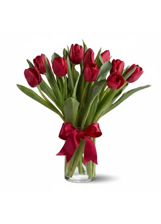 Bouquet of 15 red tulips (import, Holland)