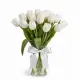Bouquet of 15 white tulips (imported, Netherlands)