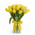 Yellow tulips