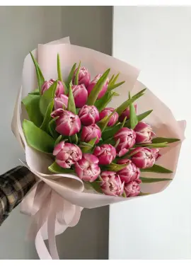 Bouquet of 15 raspberry tulips (imported, Netherlands)
