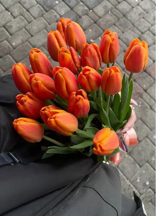 Bouquet of 15 orange tulips (imported, Netherlands)
