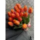 Bouquet of 15 orange tulips (imported, Netherlands)