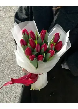 Bouquet of 15 red tulips (import, Holland)