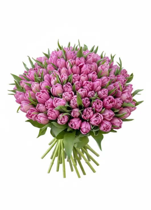 Bouquet of 151 peony tulips (imported, Netherlands)