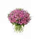 Bouquet of 151 peony tulips (imported, Netherlands)