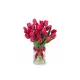 Bouquet of 19 raspberry tulips (imported, Netherlands)
