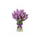 Bouquet of 19 lilac tulips (imported, Netherlands)