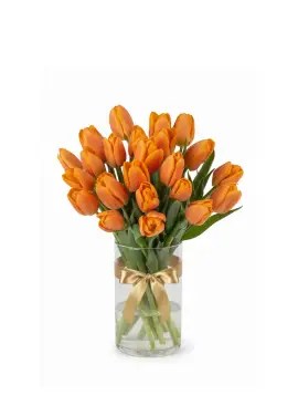 Bouquet of 19 orange tulips (imported, Netherlands)