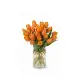 Bouquet of 19 orange tulips (imported, Netherlands)