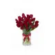 Bouquet of 19 red tulips (imported, Netherlands)