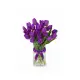 Bouquet of 19 violet tulips (imported, Netherlands)