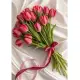 Bouquet of 19 raspberry tulips (imported, Netherlands)
