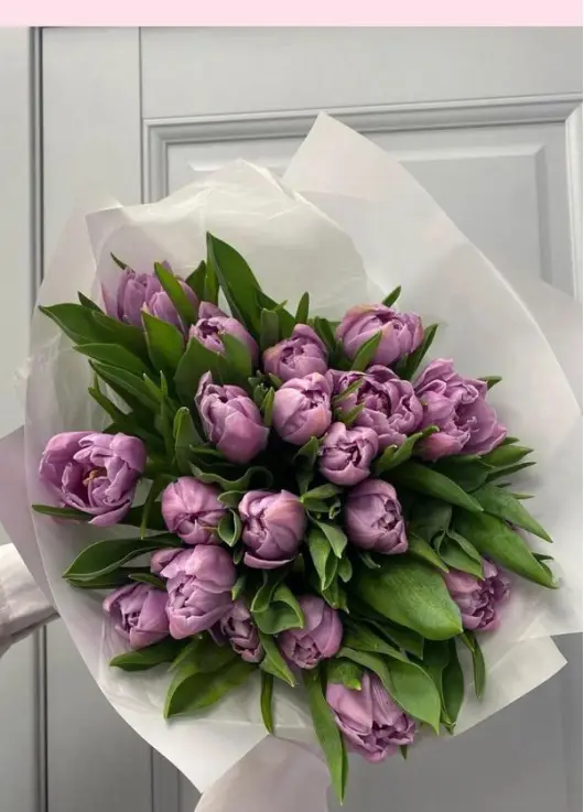 Bouquet of 19 lilac tulips (imported, Netherlands)