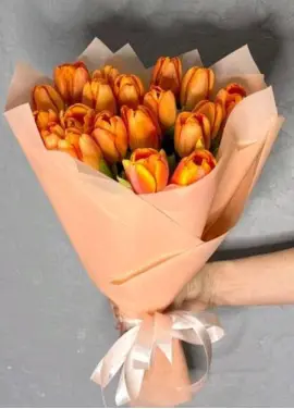 Bouquet of 19 orange tulips (imported, Netherlands)