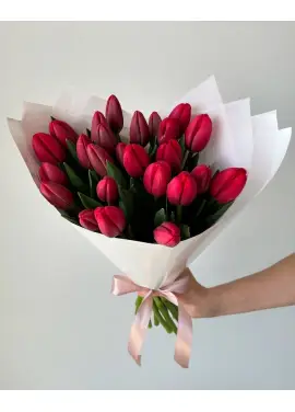 Bouquet of 19 red tulips (imported, Netherlands)