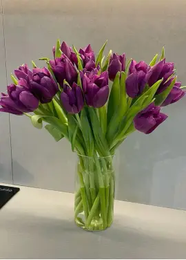 Bouquet of 19 violet tulips (imported, Netherlands)