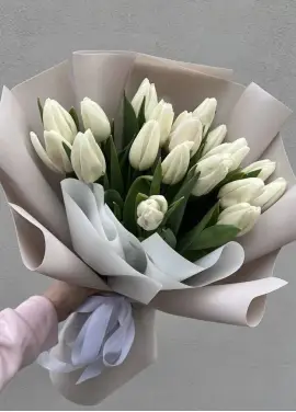 Bouquet of 19 white tulips (imported, Netherlands)