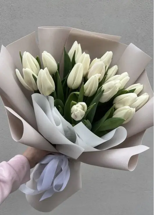 Bouquet of 19 white tulips (imported, Netherlands)