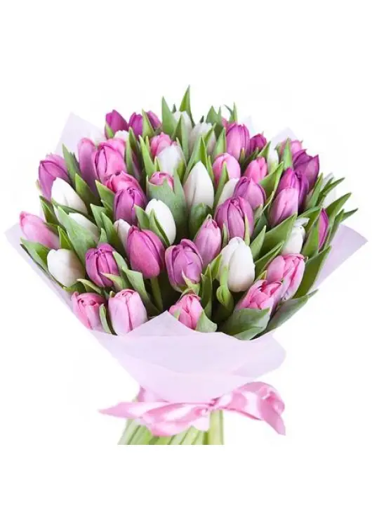 Bouquet of colorful tulips Bouquet of colorful tulips