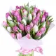 Bouquet of colorful tulips Bouquet of colorful tulips