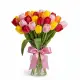 Bouquet of 21 mixed tulips (imported, Netherlands)