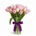 Gentle tulips