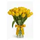 Bouquet of 21 yellow tulips (imported, Netherlands)