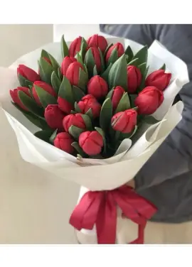 Bouquet of 21 red tulips (imported, Netherlands)