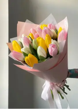 Bouquet of 21 tender tulips (imported, Netherlands)