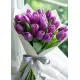 Bouquet of 21 violet tulips (imported, Netherlands)