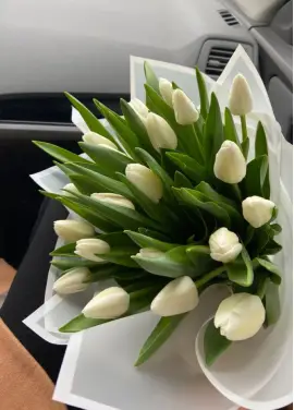 Bouquet of 21 white tulips (imported, Netherlands)