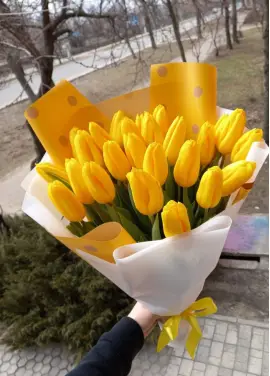 Bouquet of 21 yellow tulips (imported, Netherlands)