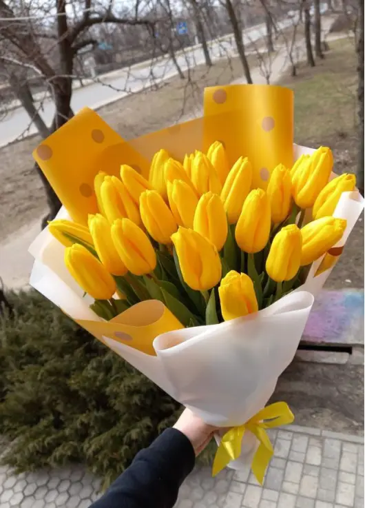 Bouquet of 21 yellow tulips (imported, Netherlands)