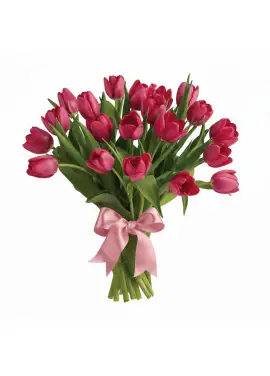 Bouquet of 25 raspberry tulips (imported, Netherlands)