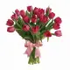 Bouquet of 25 raspberry tulips (imported, Netherlands)